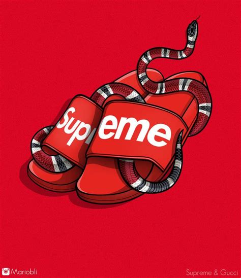 supreme gucci cartoon|supreme Gucci wallpaper.